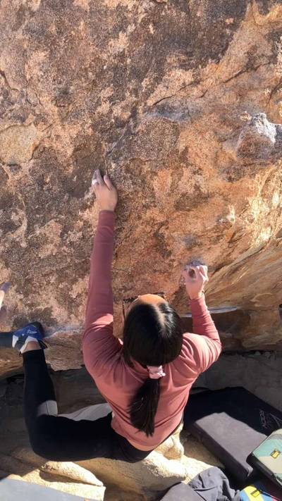 Not So Thin Lizzy v3, Joshua Tree - Beta Video from watermelinds