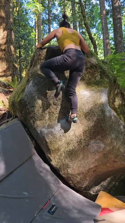 The Undergrad v6, Index - Beta Video from KidYammy