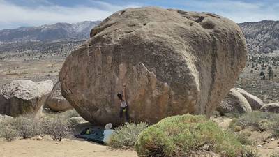 Perfectly Chicken v5, Bishop - Beta Video from tito
