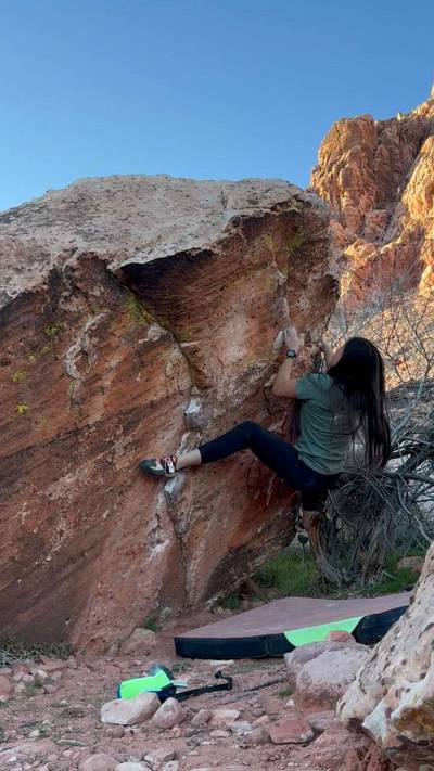 The Bush v4, Red Rock - Beta Video from LittleBetaBird