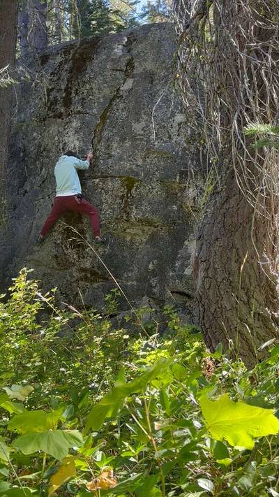 Baby Shampoo v1, Lake Tahoe - Beta Video from Dyno_Guru