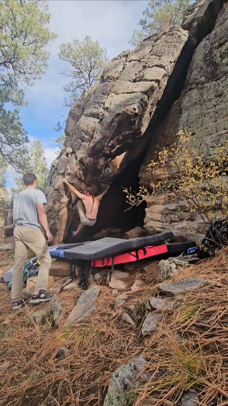 Nick Cave v5, Roy - Beta Video from thedropknee