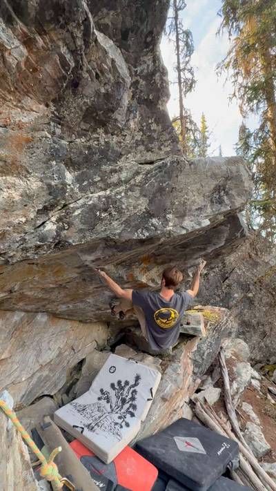 Apocrita v9, Kelowna - Beta Video from RoyceB