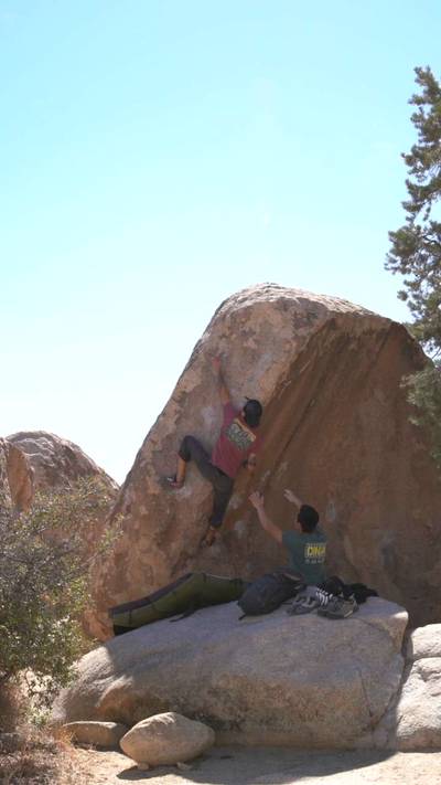 Tidal Wave v8, Joshua Tree - Beta Video from breakingbeta