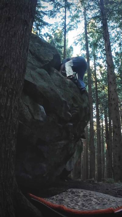 Little Red Poppy v1, Vancouver - Beta Video from long_bear