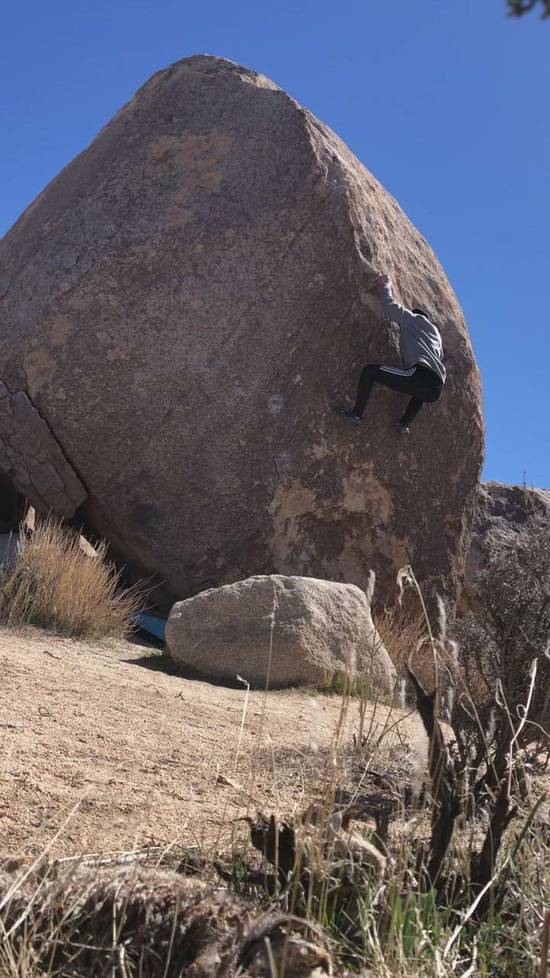 Prince Hoi v2, Joshua Tree - Beta Video from j.k0000