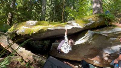 Where the Wild Things Go v2, Index - Beta Video from yujinkim