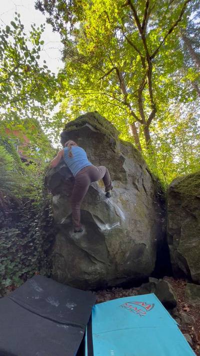Gut Crunch v5, Carver - Beta Video from SasquatchBff