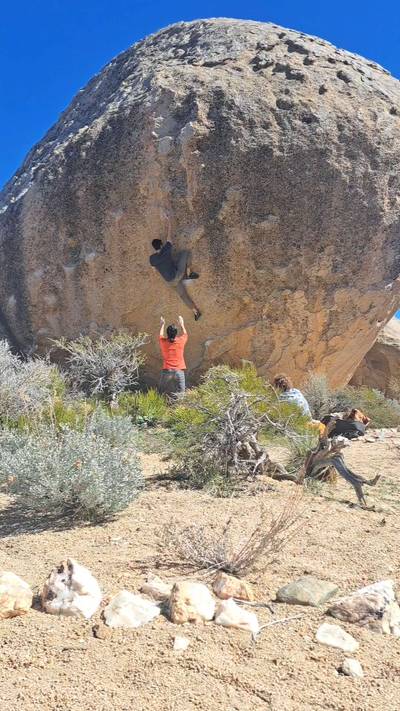 Suspended in Silence v7, Bishop - Beta Video from RuelNeuman