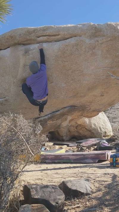Meadows Direct v6, Joshua Tree - Beta Video from Herb_Sends