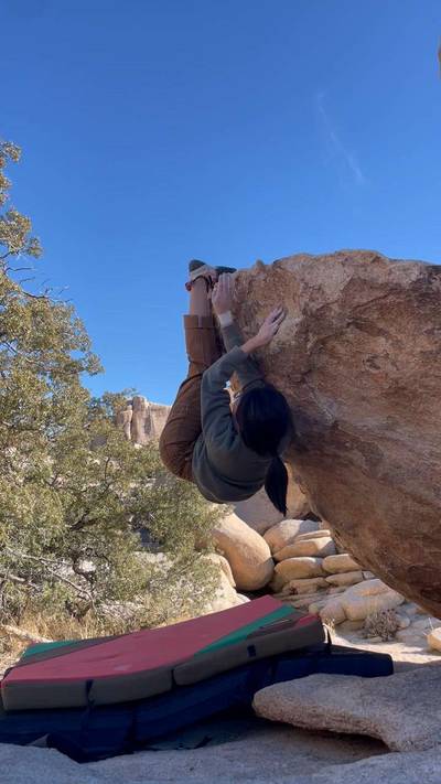 Sit Down Flake v2, Joshua Tree - Beta Video from lisalisa