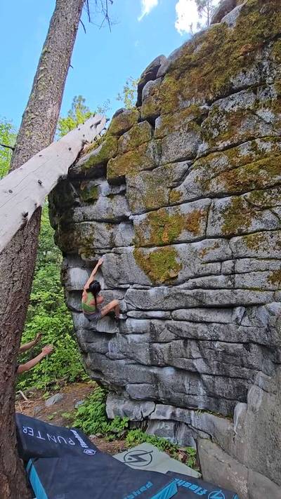 Tigerlily Left v6, Leavenworth - Beta Video from luceezee