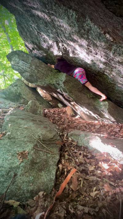 Welcome to the Face Jam v1, Gunpowder Falls - Beta Video from Theitmann