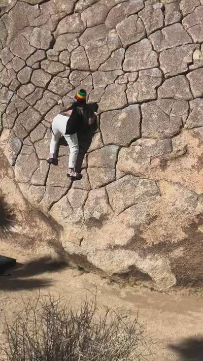 Dragon Scales vB, Joshua Tree - Beta Video from chalkupbitches