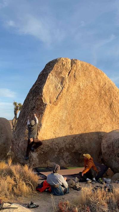 Classic Curl v1, Joshua Tree - Beta Video from JPeregrina27