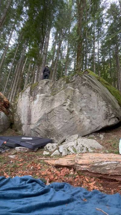 BMOC v2, Gold Bar - Beta Video from nols