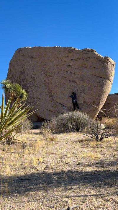 Slashface v3, Joshua Tree - Beta Video from lawsends