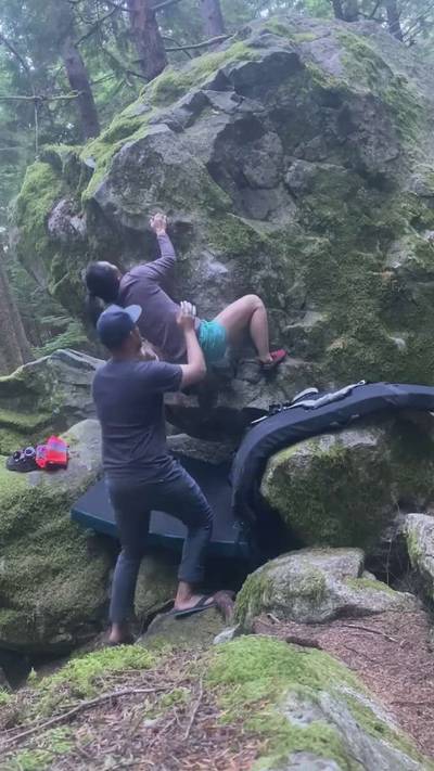 Carpenter Ants v1, Squamish - Beta Video from Liannegh