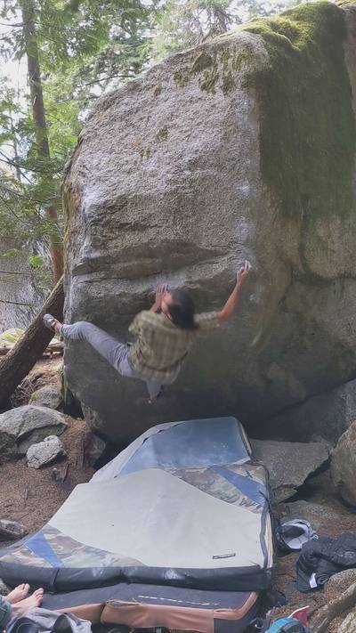 The Bee Professor v9, Squamish - Beta Video from thegnarwall