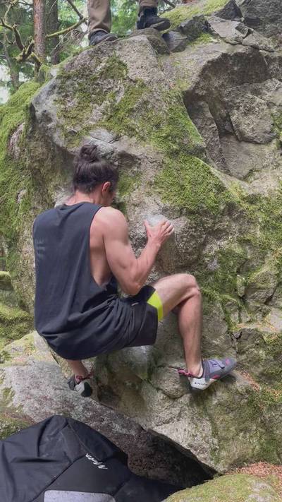 Carpenter Ants v1, Squamish - Beta Video from fremachuca