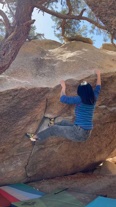 Yabo Roof v3, Joshua Tree - Beta Video from manilahilton