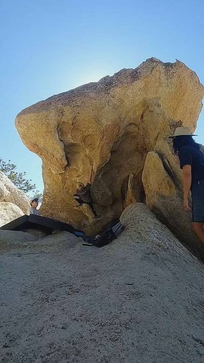 The Fang Low v5, Horse Flats - Beta Video from j.k0000