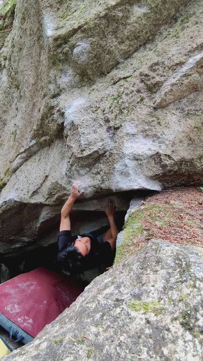 Mosquito Incubator v8, Squamish - Beta Video from Yitao