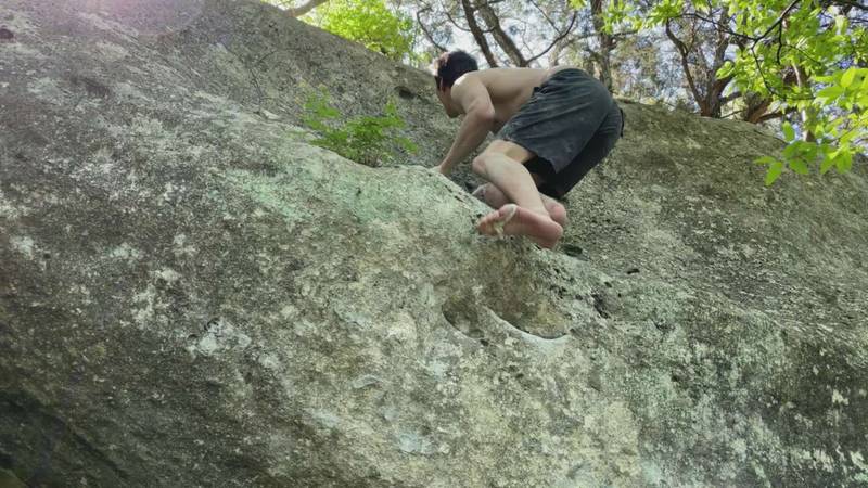 Tribal Sound v10, Rogers Park - Beta Video from Tridan