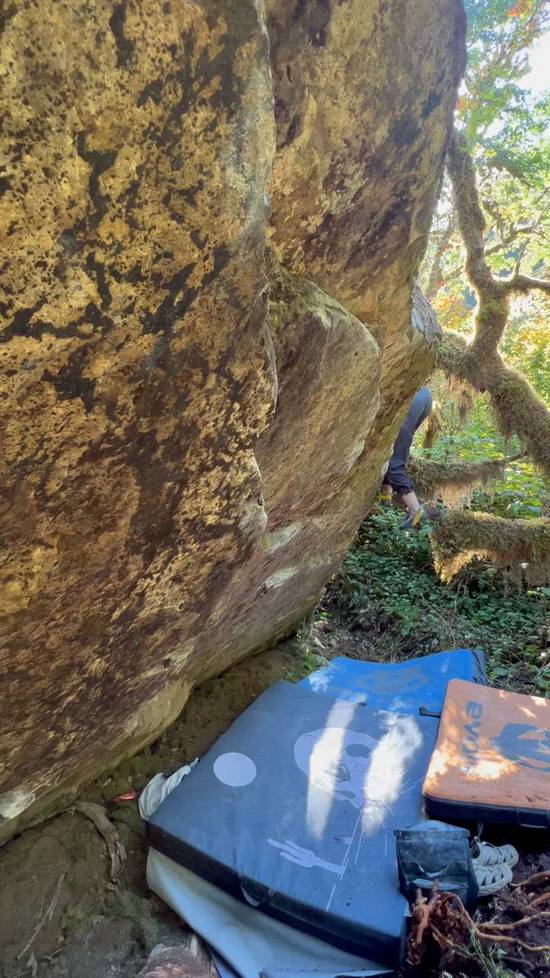 Cookie Monster v7, Miller River - Beta Video from nicolesarles23