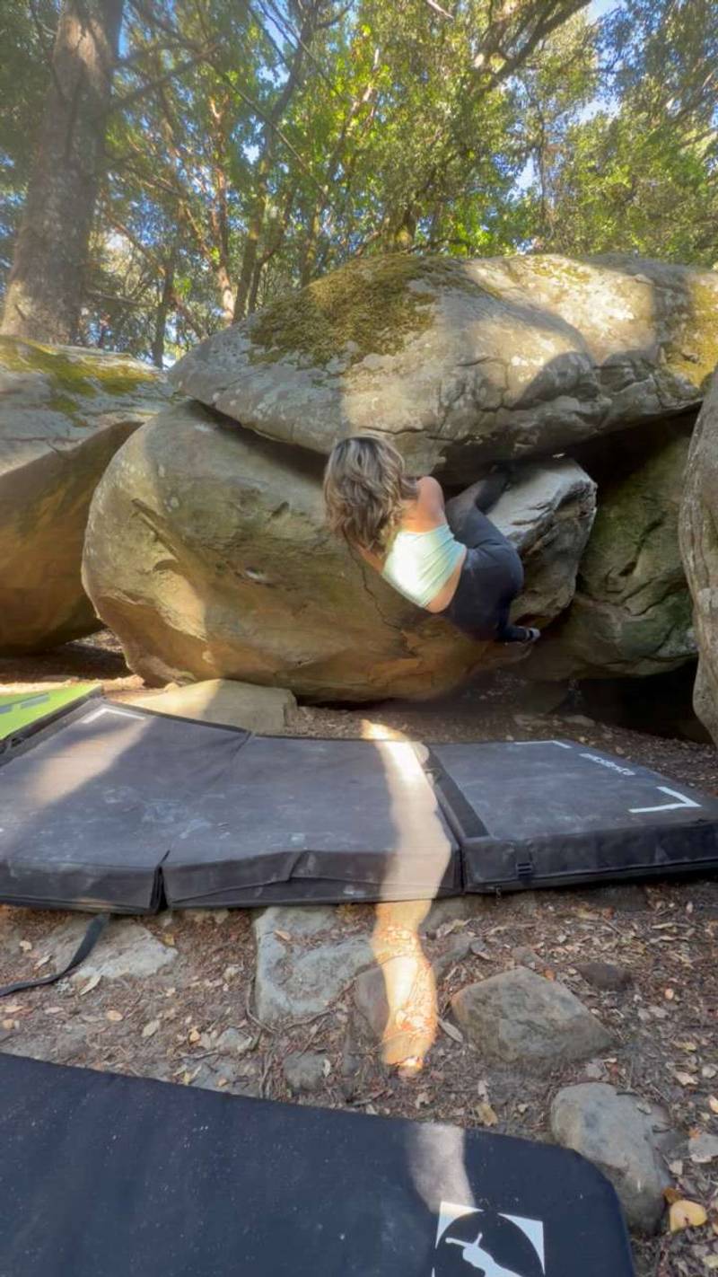 FF Crack (aka Kermit the Frog) v4, Indian Rock - Beta Video from overhuongie