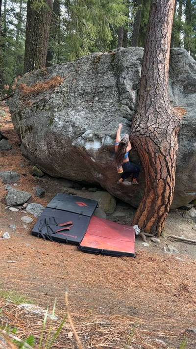 Twisted Tree v4, Leavenworth - Beta Video from annielin