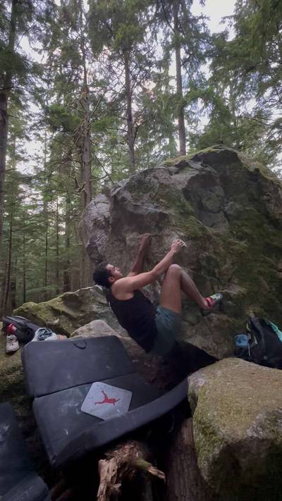 Carpenter Ants v1, Squamish - Beta Video from yaaar