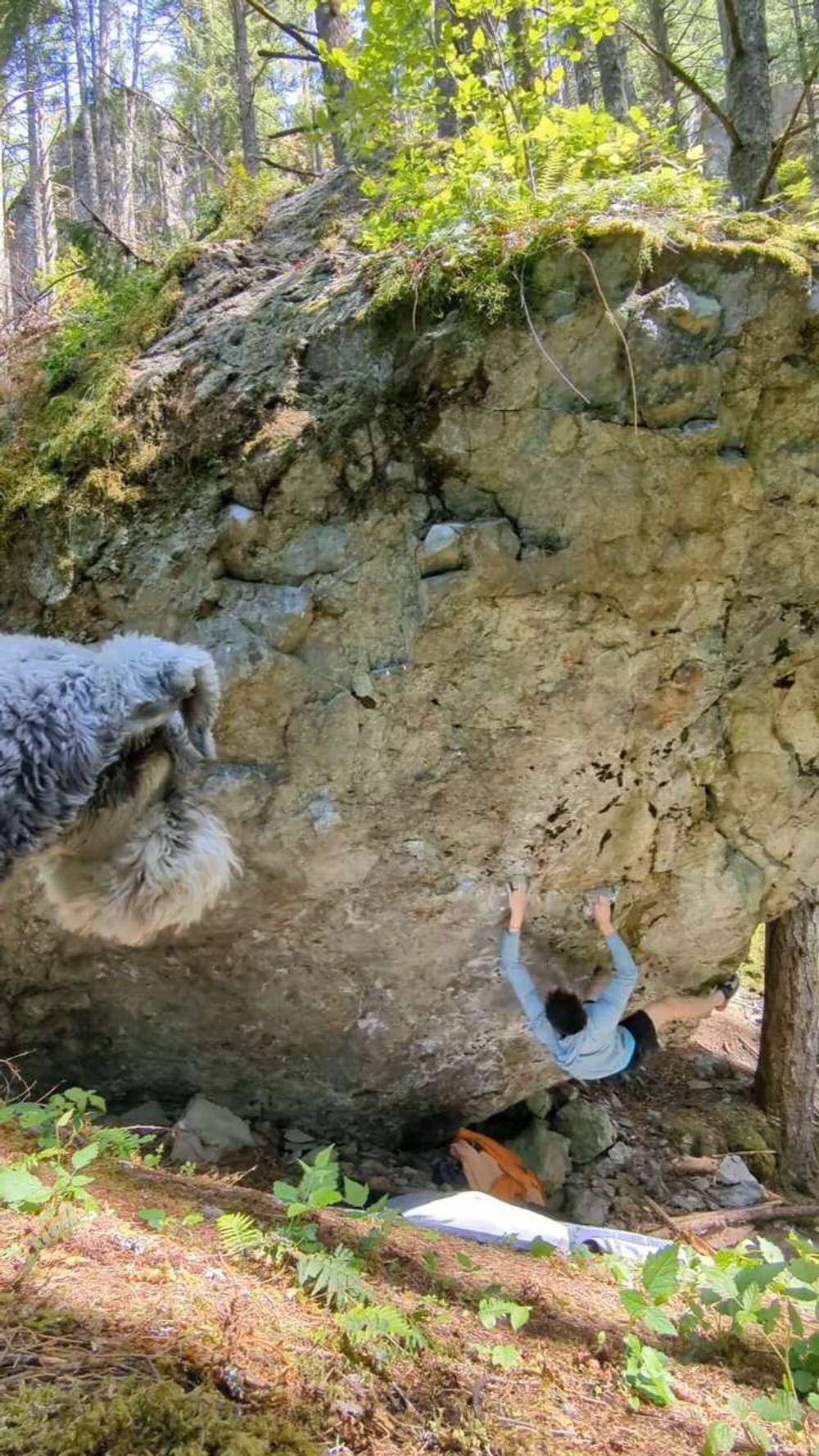 Mega Link v9, North Bend - Beta Video from stans