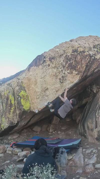 Drunken Monkey v7, Red Rock - Beta Video from TinyDynos