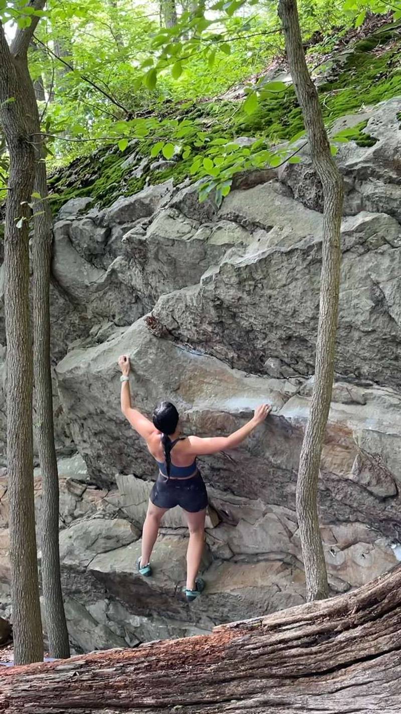 Cortex v3, Coopers Rock - Beta Video from JessMorante