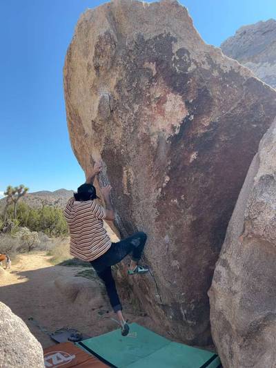 Picture Perfect Sit v5, Joshua Tree - Beta Video from advian