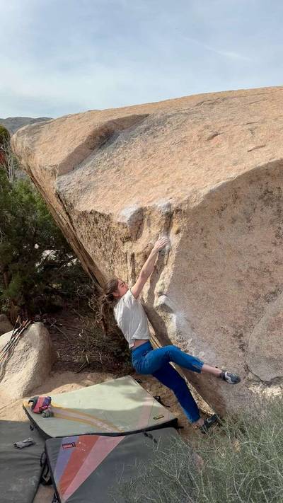 Obvious Gem v5, Joshua Tree - Beta Video from default37