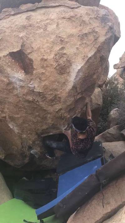 Mulligan Variation v7, Joshua Tree - Beta Video from bfesqueda