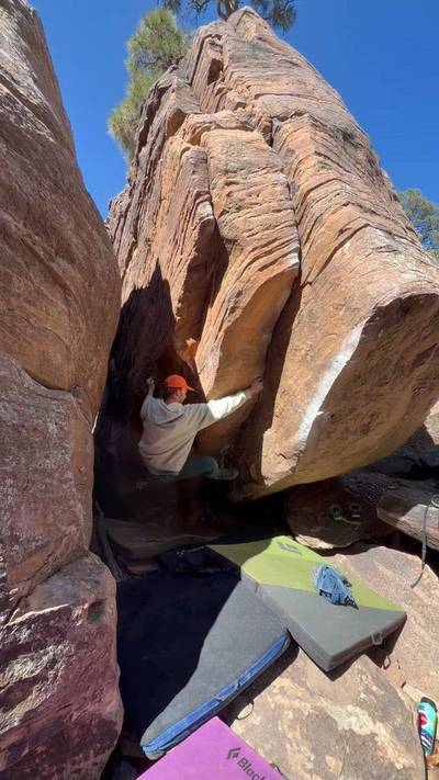 Treebeard v4, Roy - Beta Video from AndrewSpiars