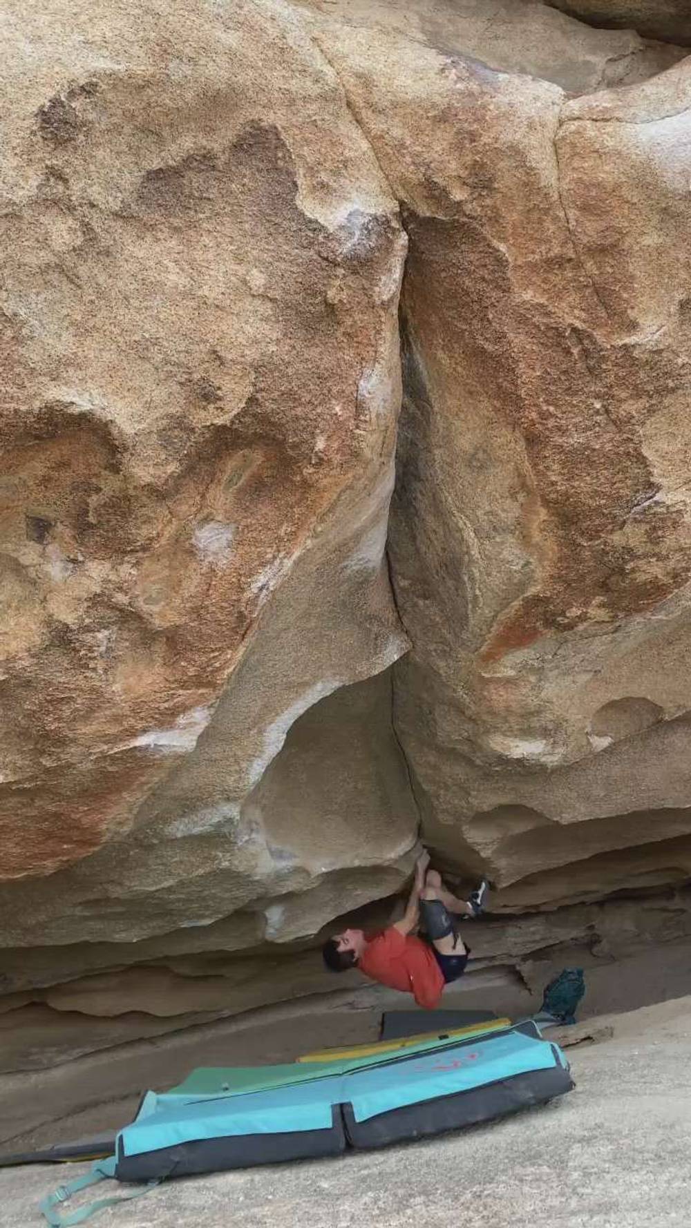 In Perpetuity v12, Joshua Tree - Beta Video from EatinPringles