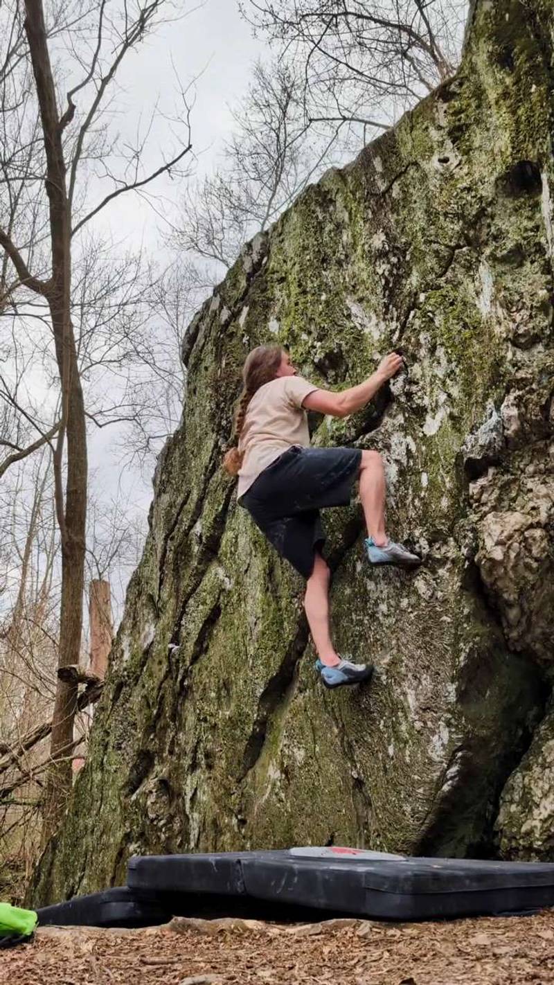 Crow with No Mouth v1, Patapsco Valley State Park - Beta Video from HodgepodgeFoxe