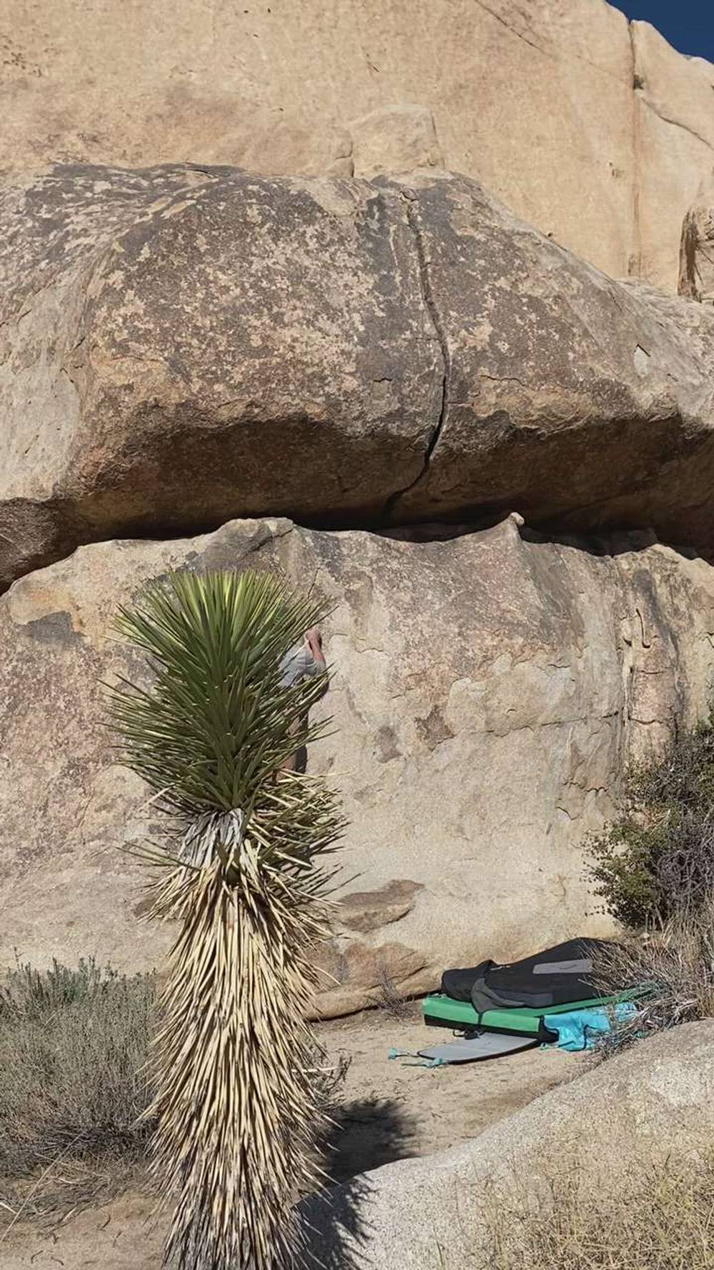 Trashman Roof v0, Joshua Tree - Beta Video from Bouldering_in_socks