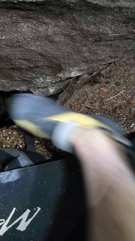 The Pawn v2, Squamish - Beta Video from CarsonClimbs
