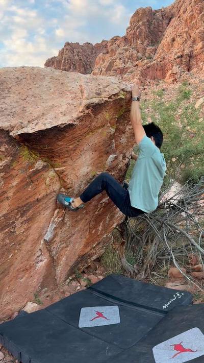The Bush v4, Red Rock - Beta Video from sam.meow