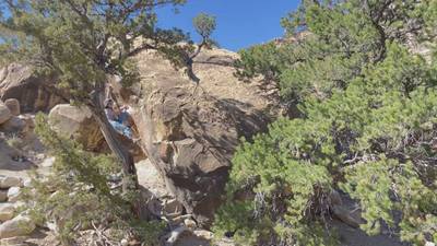 Mono E Mono v4, Joe's Valley - Beta Video from conetoiles