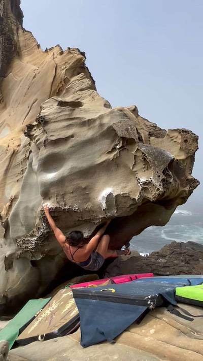Triceratops v4, Salt Point - Beta Video from ver