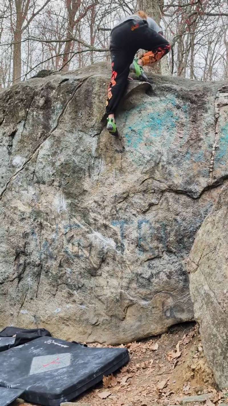 Another Special Snowflake v2, Northwest Branch - Beta Video from HodgepodgeFoxe