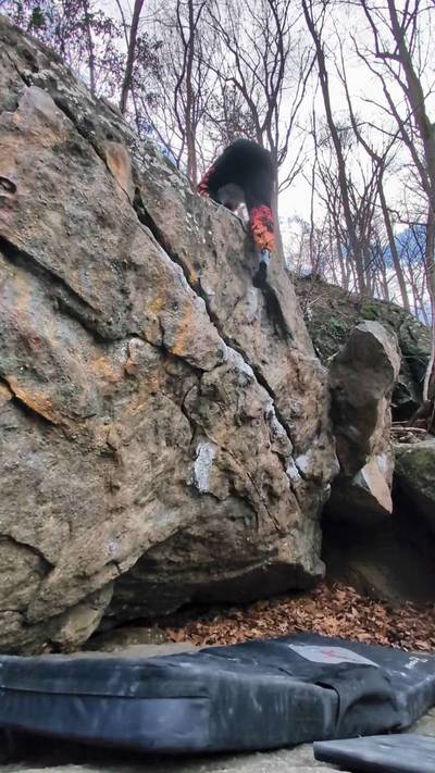 The Tick v0, Northwest Branch - Beta Video from HodgepodgeFoxe
