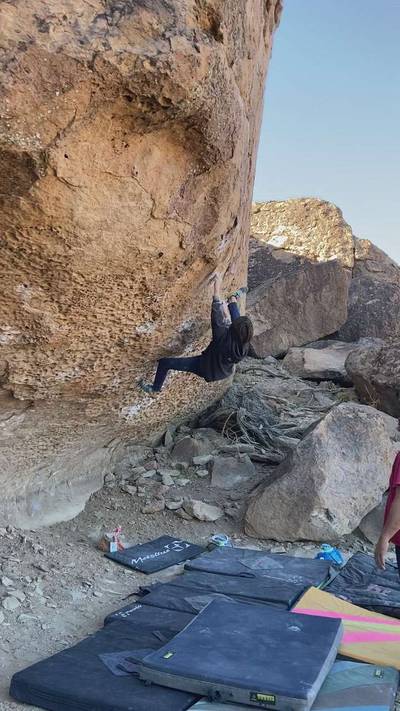 Morning Dove White v7, Bishop - Beta Video from AriefNagara