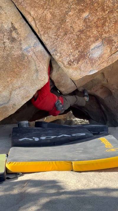 Pigpen v4, Joshua Tree - Beta Video from aviv